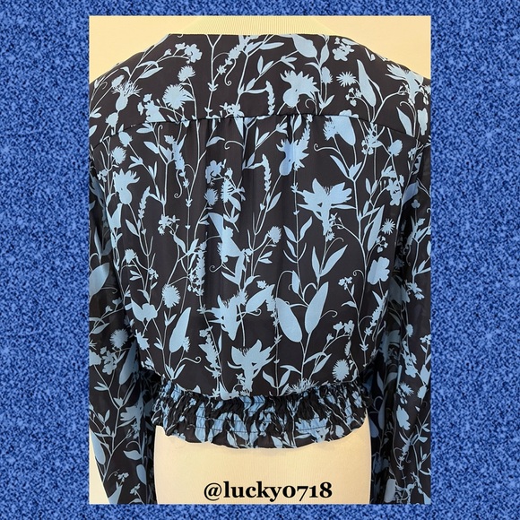 Parker EUC Blue on Navy Kata Long Sleeve Silk Blouse Sz S - Picture 7 of 9